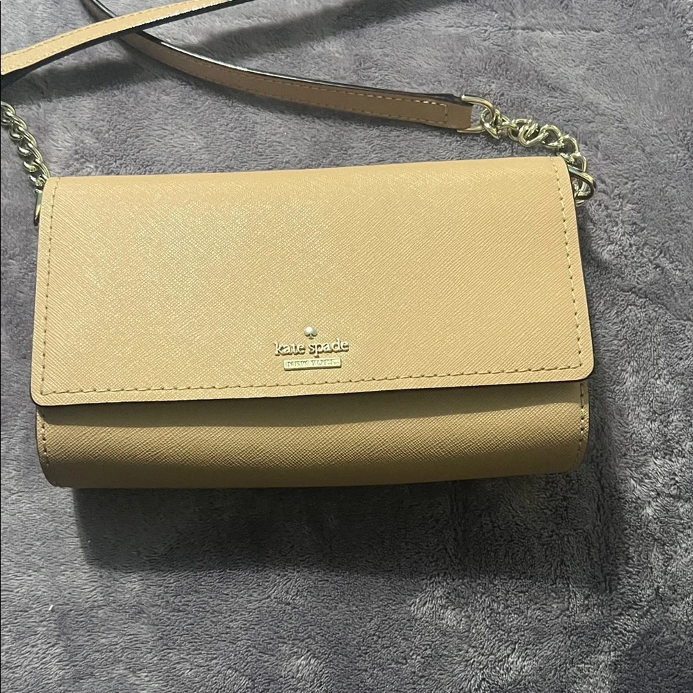 kate spade Pale Brown Crossbody with Gold Hardware - Picture 2 of 14